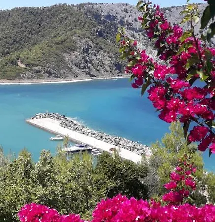 Stone House 1909 Evia Vakantiehuis Pilí