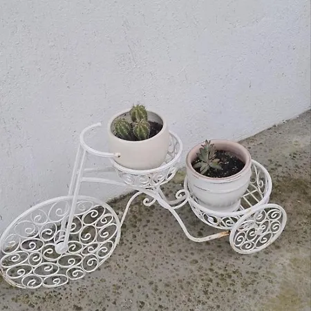 Vakantiehuis Stone House 1909 Evia